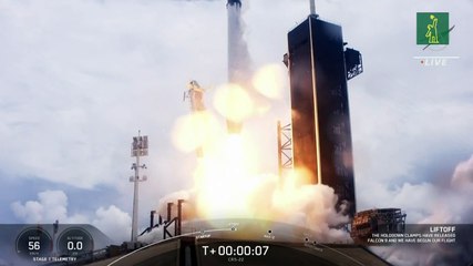 Calamares viajan hacia la Estación Espacial Internacional para un experimento