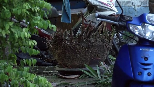 Ocho atentados en Tailandia dejan 4 muertos y decenas de heridos