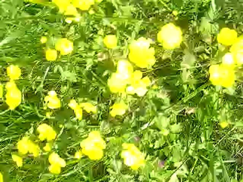 P1010030