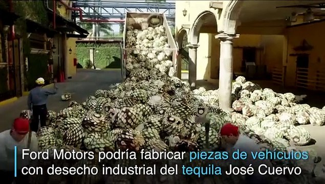 Ford busca fabricar piezas de vehículos con planta del tequila
