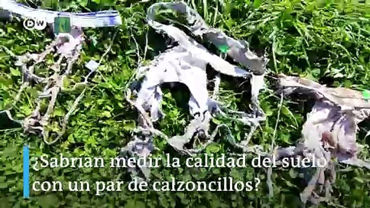 Calzoncillos