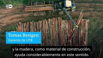 Madera en lugar de cemento