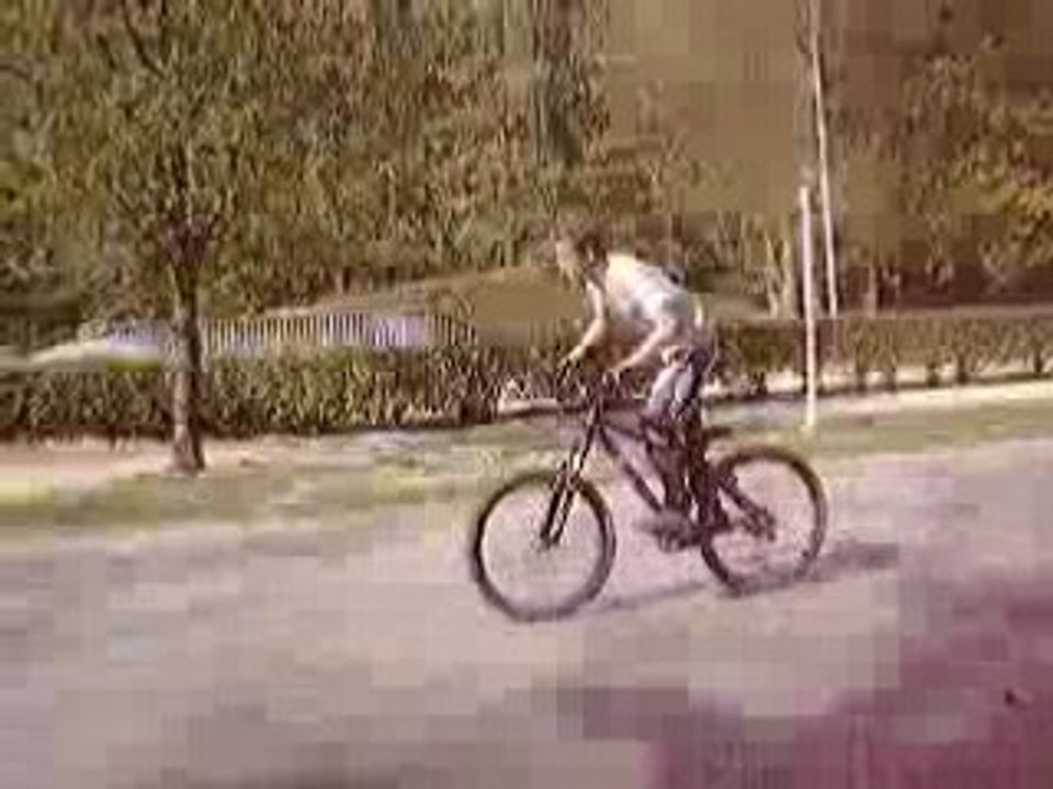 Bicross
