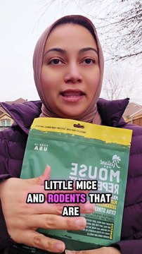 Unwanted guests are not welcomed Mouse Repellent