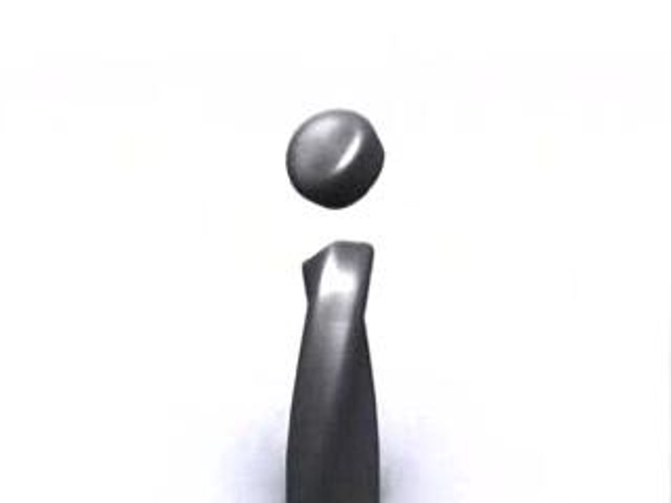 Nintendo Wii