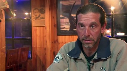 El cambio climático también afecta a las ballenas