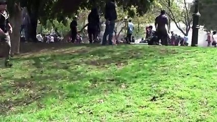 Movilización reivindica “resistencia Mapuche” en Chile