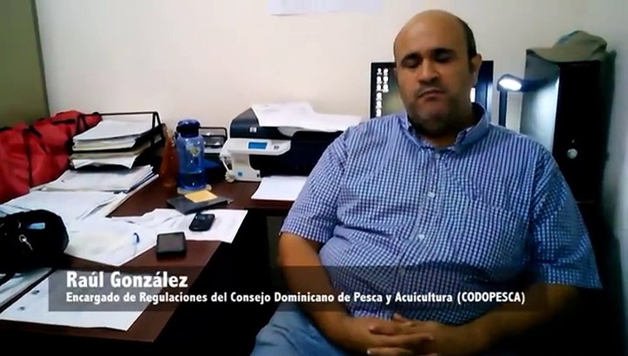Corales 2