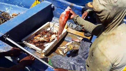 Pesca en Montecristi