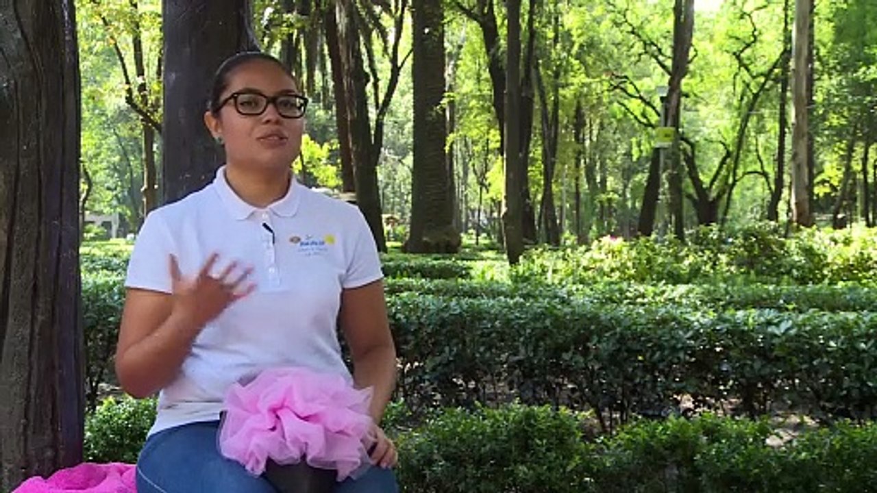 Los mini-cerdos, la mascota de moda en México