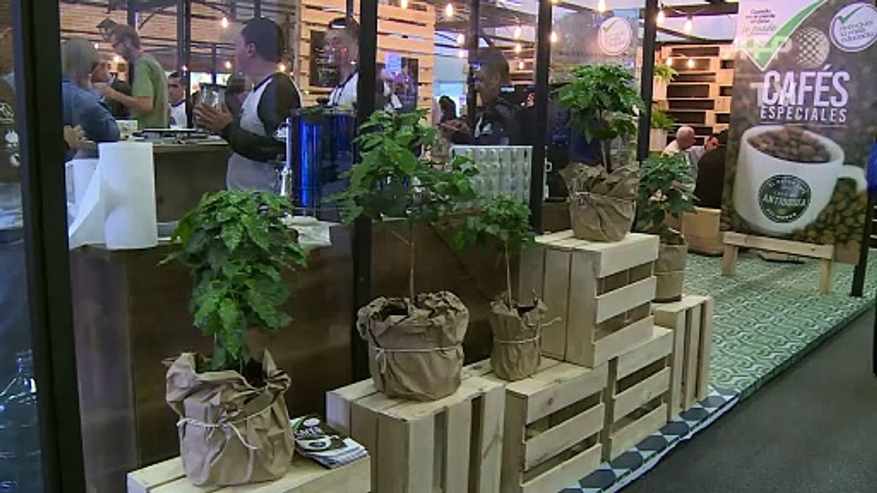 Consumo del café se duplicó en 20 años