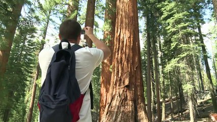 EEUU: Segundo turista con peste en el parque de Yosemite