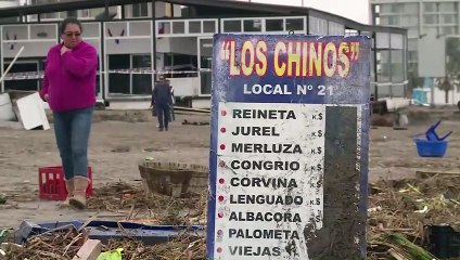 Turismo y pesca, grandes afectados del sismo en Chile