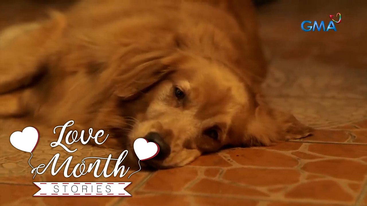 Daig Kayo ng Lola Ko: Love comes in all shapes and sizes! (Love Month Stories 2025)