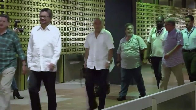 Nuevo cese al fuego unilateral de las FARC