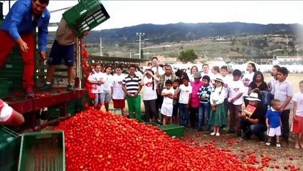 La tomatina se desata en Colombia