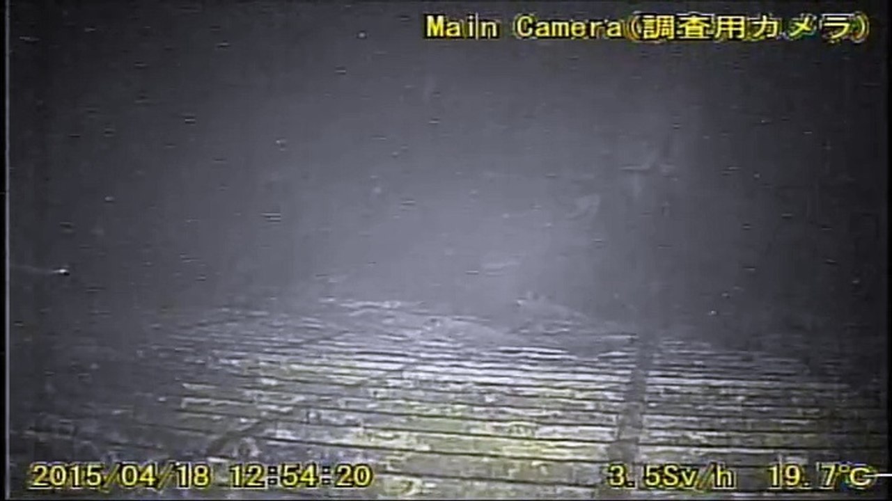 Robot Fukushima