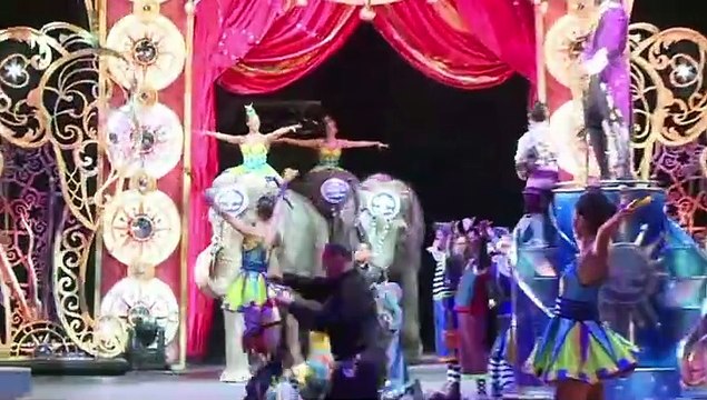 El polémico trabajo de elefantes en circos
