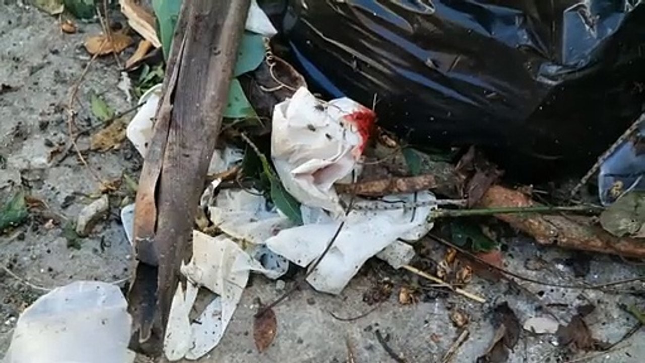 Desechos hospitalarios