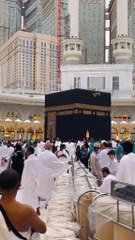 # O Allah, the flower will surely go, the servants are your # show to grow Daily motion? | Stop These Mistake |