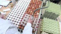 30.000 huevos de pascua por día