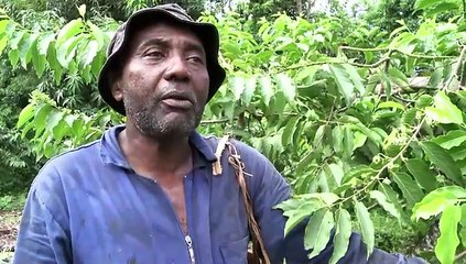 El secreto de los mejores perfumes del mundo