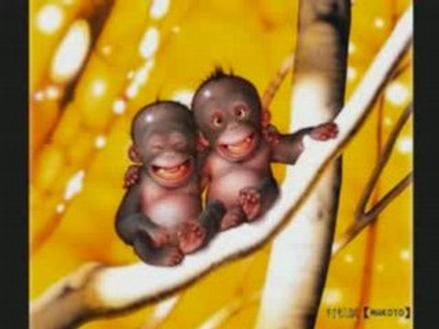 Don't worry be happy