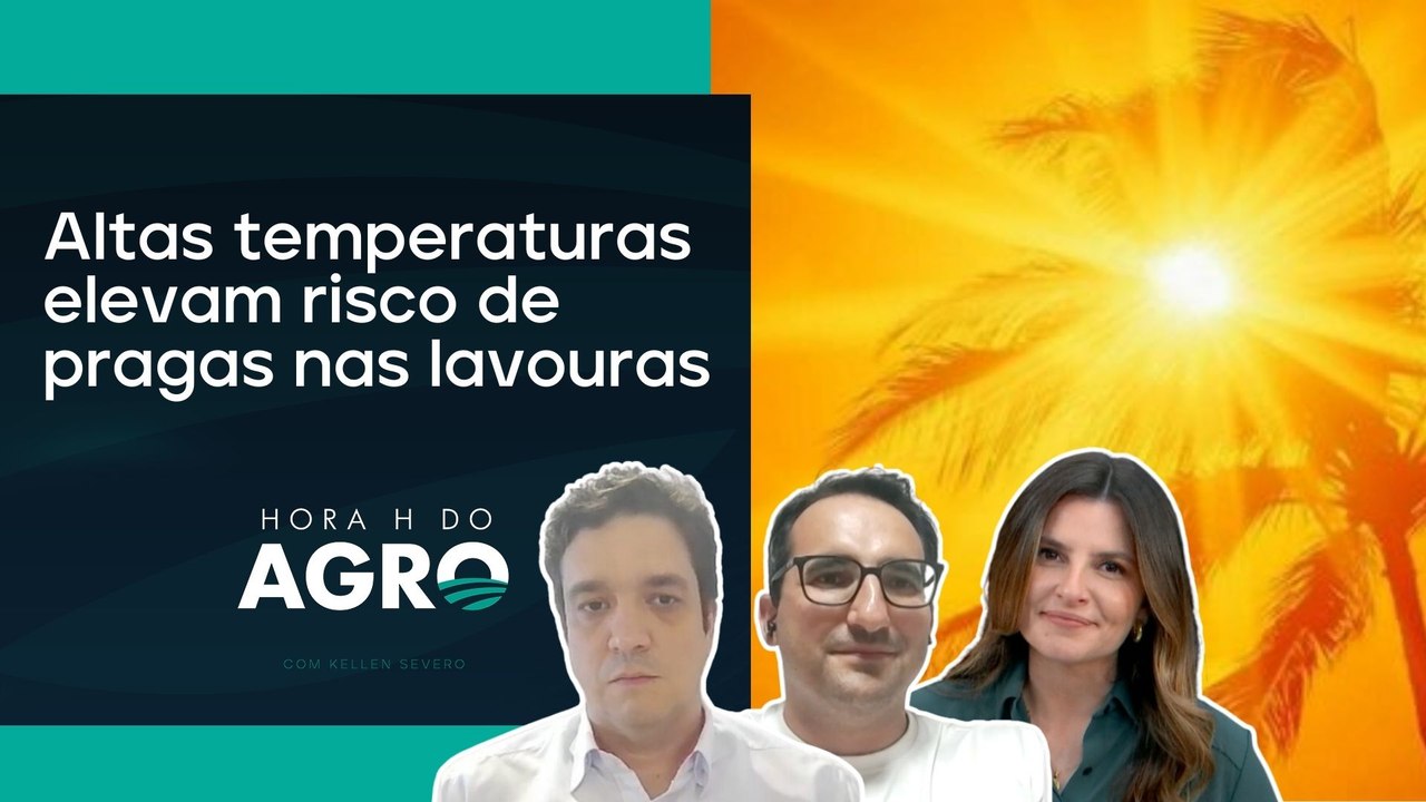 Altas temperaturas elevam risco de pragas nas lavouras | HORA H DO AGRO