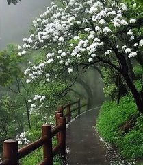 ScreenRecording_02-20-2025 04-27-31_1