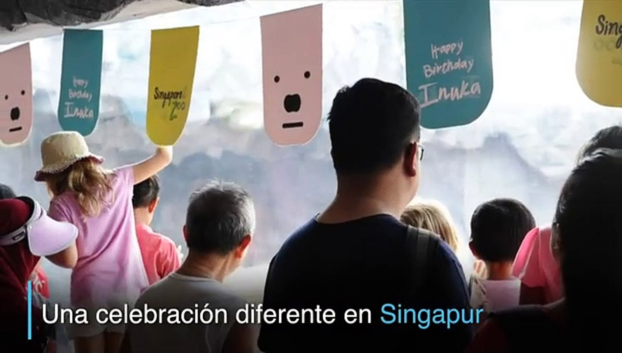 Singapur, espectáculo de osos