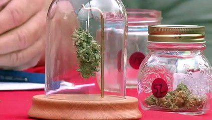 California legaliza marihuana para uso recreativo