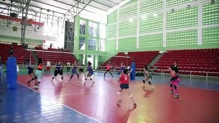 Brenda Castillo: Volleyball Star