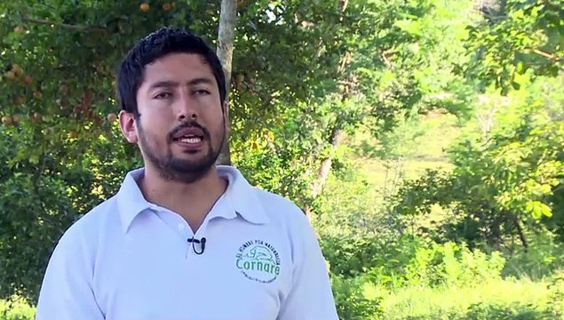 Los hipopótamos de Pablo Escobar en Colombia