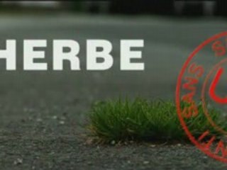 Herbe _ www.herbe-lefilm.com