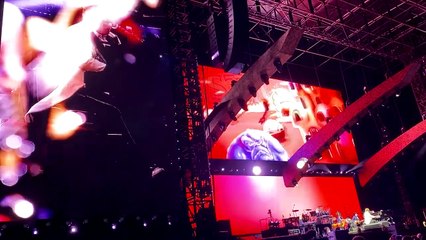 Elton John - Someone Saved My Life Tonight