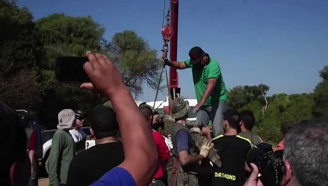 Rescatan a miles de caimanes amenazados por sequía en Paraguay