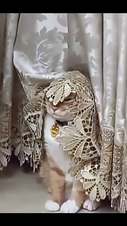 Cuoi gi con Sen kia 🙂