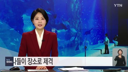아쿠아리움, 추위 속 실내 나들이 장소로 제격 / YTN