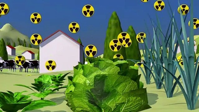 La contaminación radioactiva
