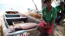 La pesca del calamar diamante en Samaná