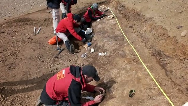 Los fósiles de dinosaurios de la Patagonia chilena