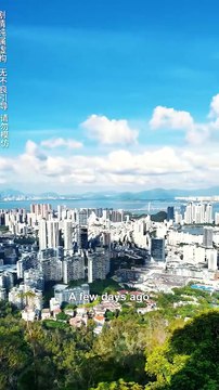 CEO Discovers the Shocking Truth About His Own Mother… Too Late