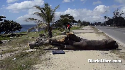 Descuido Malecón de Santo Domingo