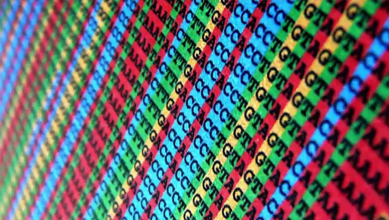 Avances de la ciencia 2017