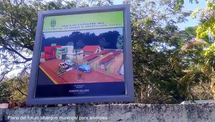 Albergue para animales