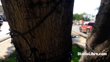 Bombillos de navidad