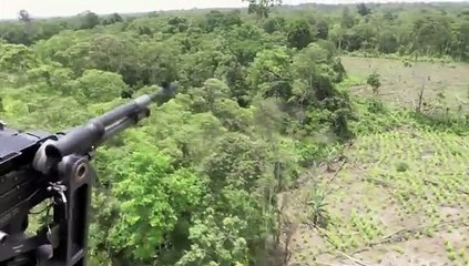 Líderes comunitarios obligados por narcos a esconderse en Colombia