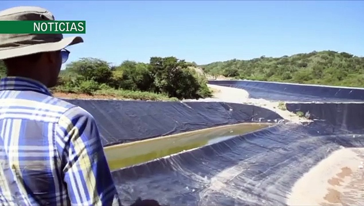 Lo que tienes que saber