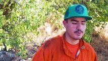 A dólar por hora, reos-bomberos de California combaten incendios