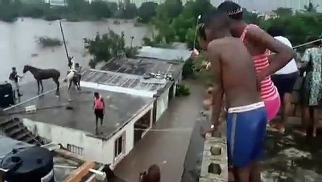 Suben a los caballos a los techos de las casas en Hato Mayor